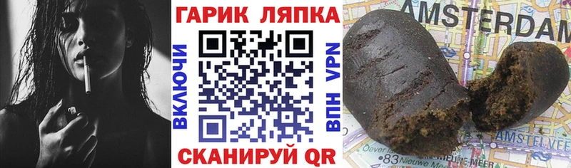 закладка  Данилов  площадка официальный сайт  ГАШ ice o lator 