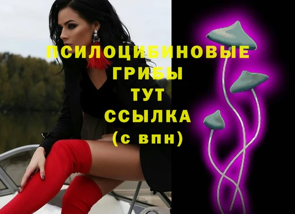 хмурый Волосово