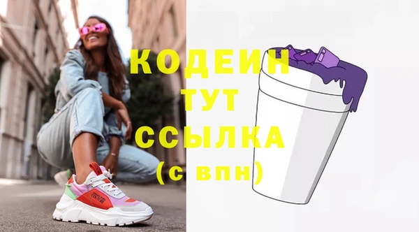 крисы Верхний Тагил