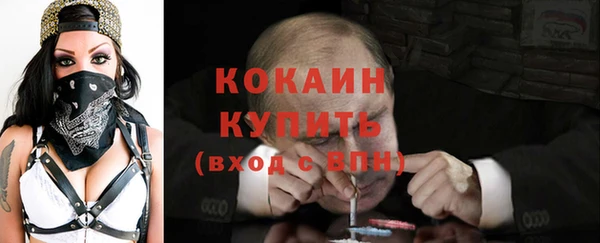 крисы Верхний Тагил