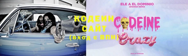 крисы Верхний Тагил