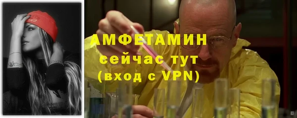 крисы Верхний Тагил