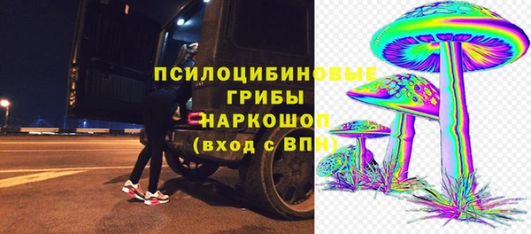 крисы Верхний Тагил