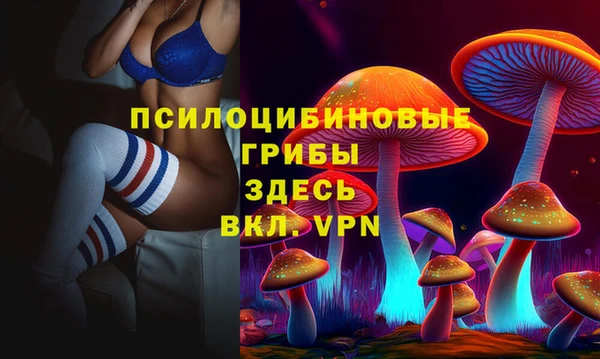гашик Сафоново