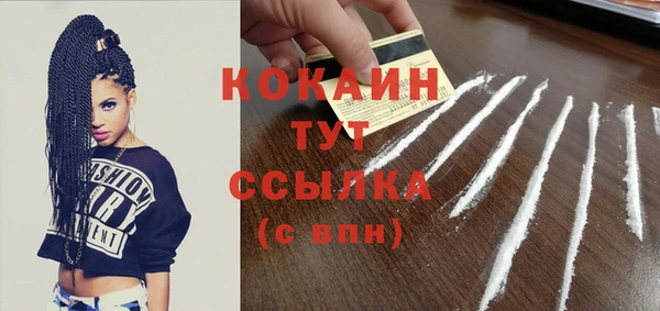 индика Саяногорск