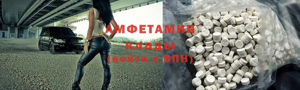крисы Верхний Тагил