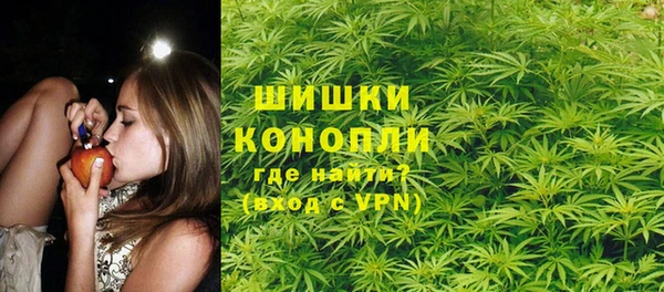 крисы Верхний Тагил