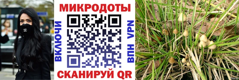Псилоцибиновые грибы Magic Shrooms  Данилов 